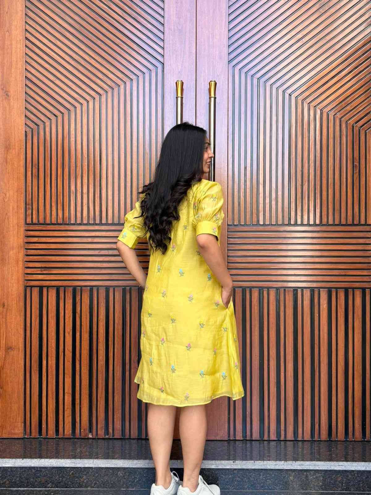 Embroidered A line Dress
