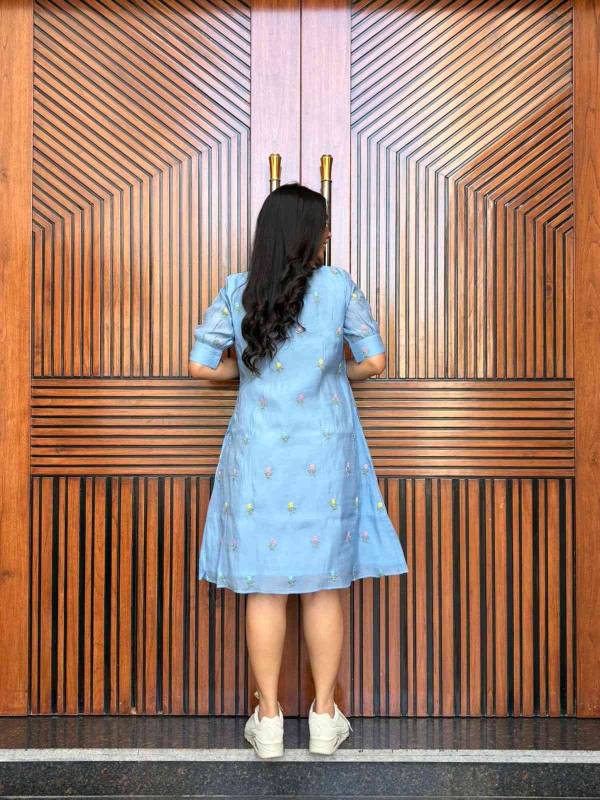 Embroidered A line Dress